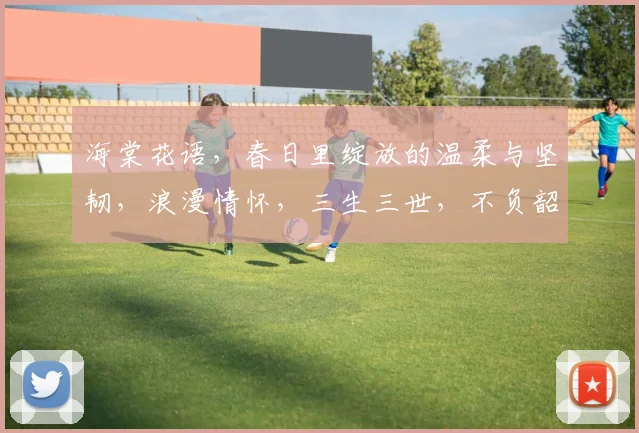 海棠花语，春日里绽放的温柔与坚韧，浪漫情怀，三生三世，不负韶华，花开不败。
